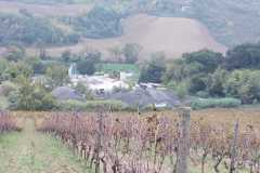 IMG-20191106-WA0013